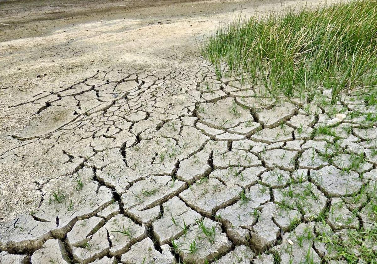 La sequía amenaza a Castilla y León