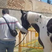 Brilló como el sol la Feria del 1 de Mayo en Miranda