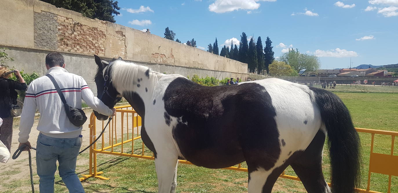 El sol brilla en la Feria del 1 de mayo en Miranda