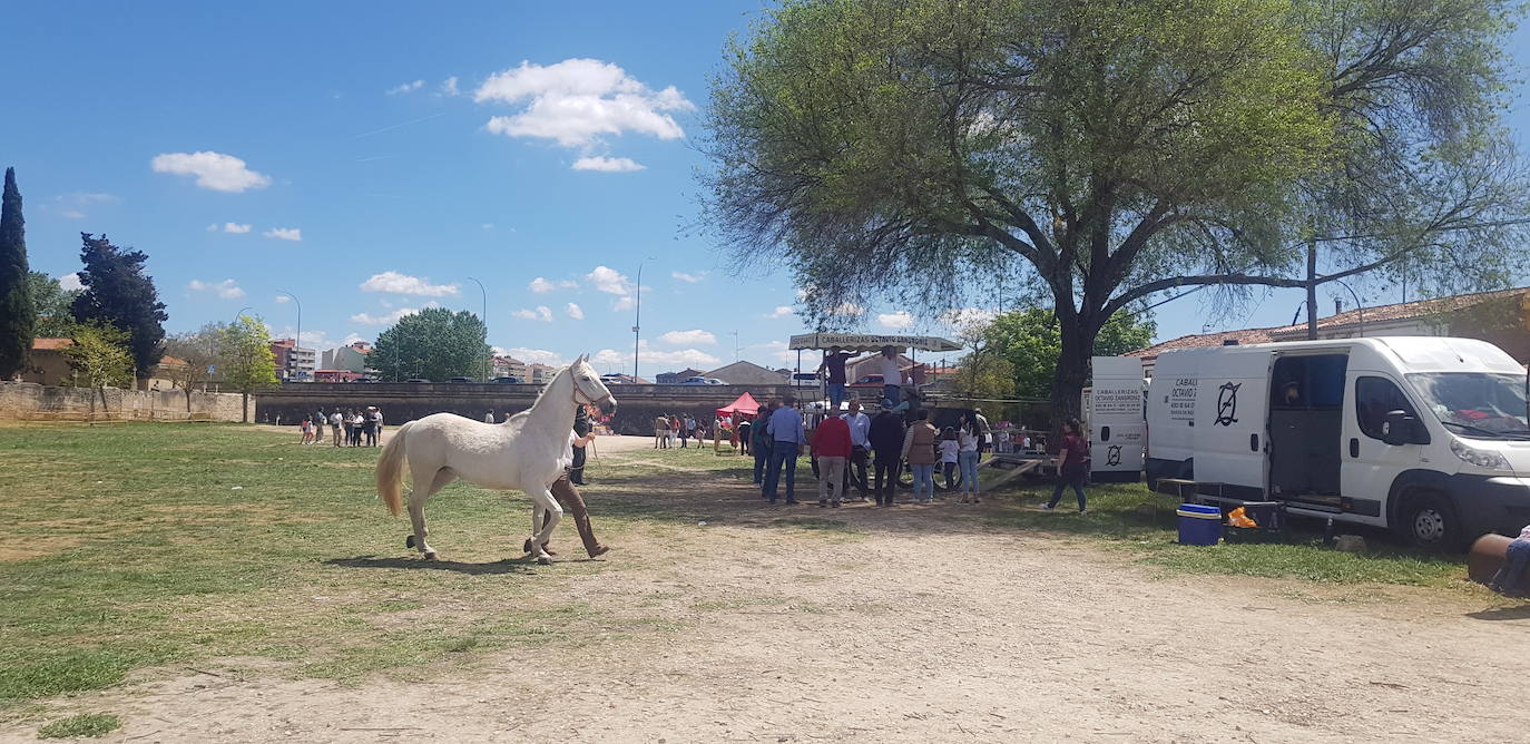 El sol brilla en la Feria del 1 de mayo en Miranda