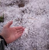 Calculan 50.000 hectáreas afectadas por el granizo en Burgos, con pérdidas de 60 millones de euros