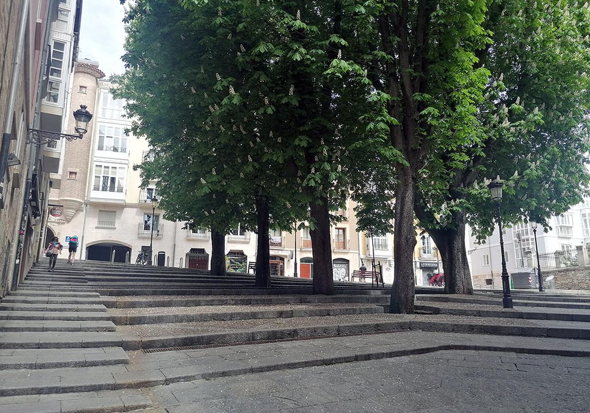 Se plantea un itinerario peatonal accesible en la Plaza de los Castaños.