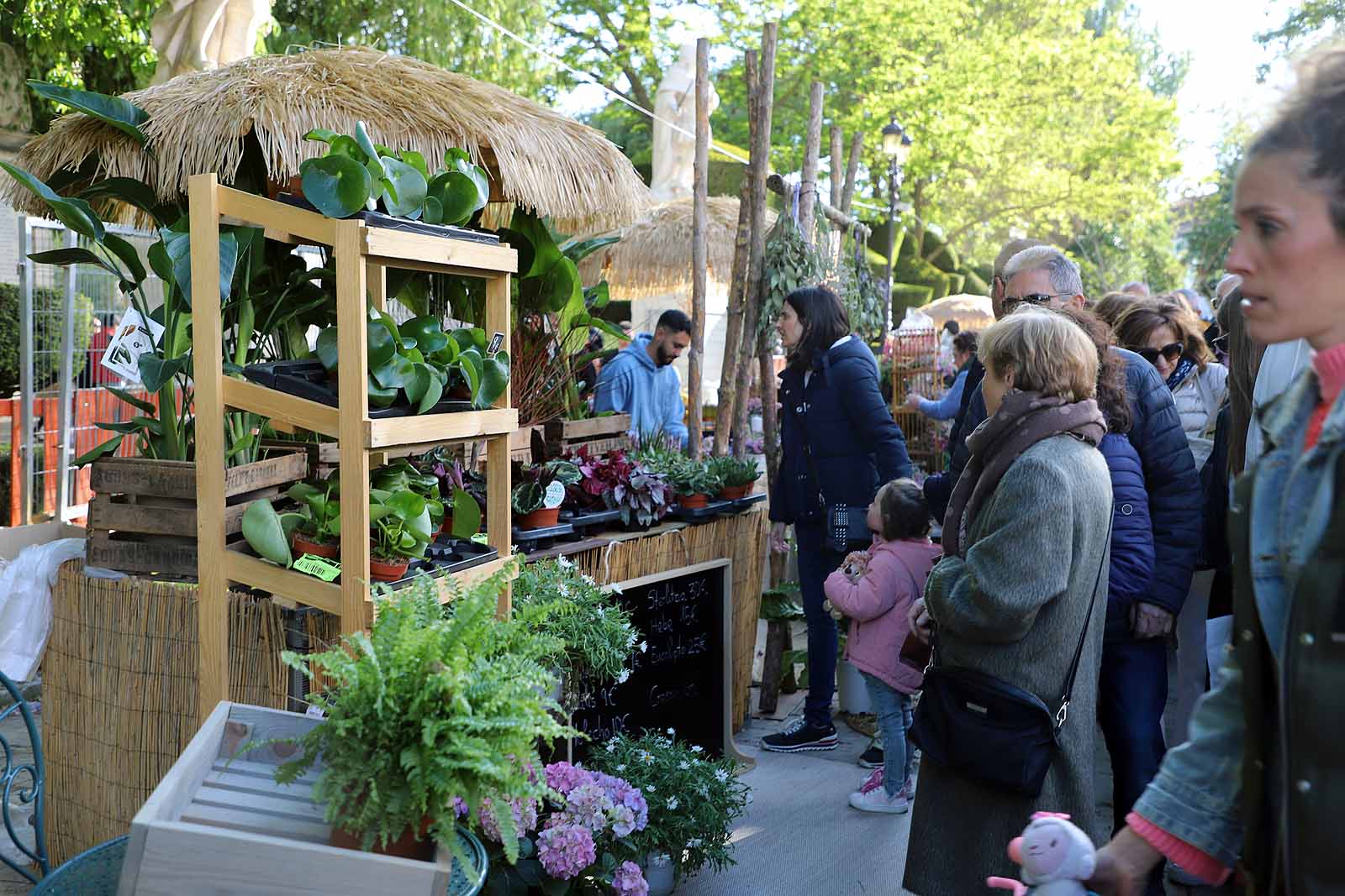 Burgos se llena de flores y gentío