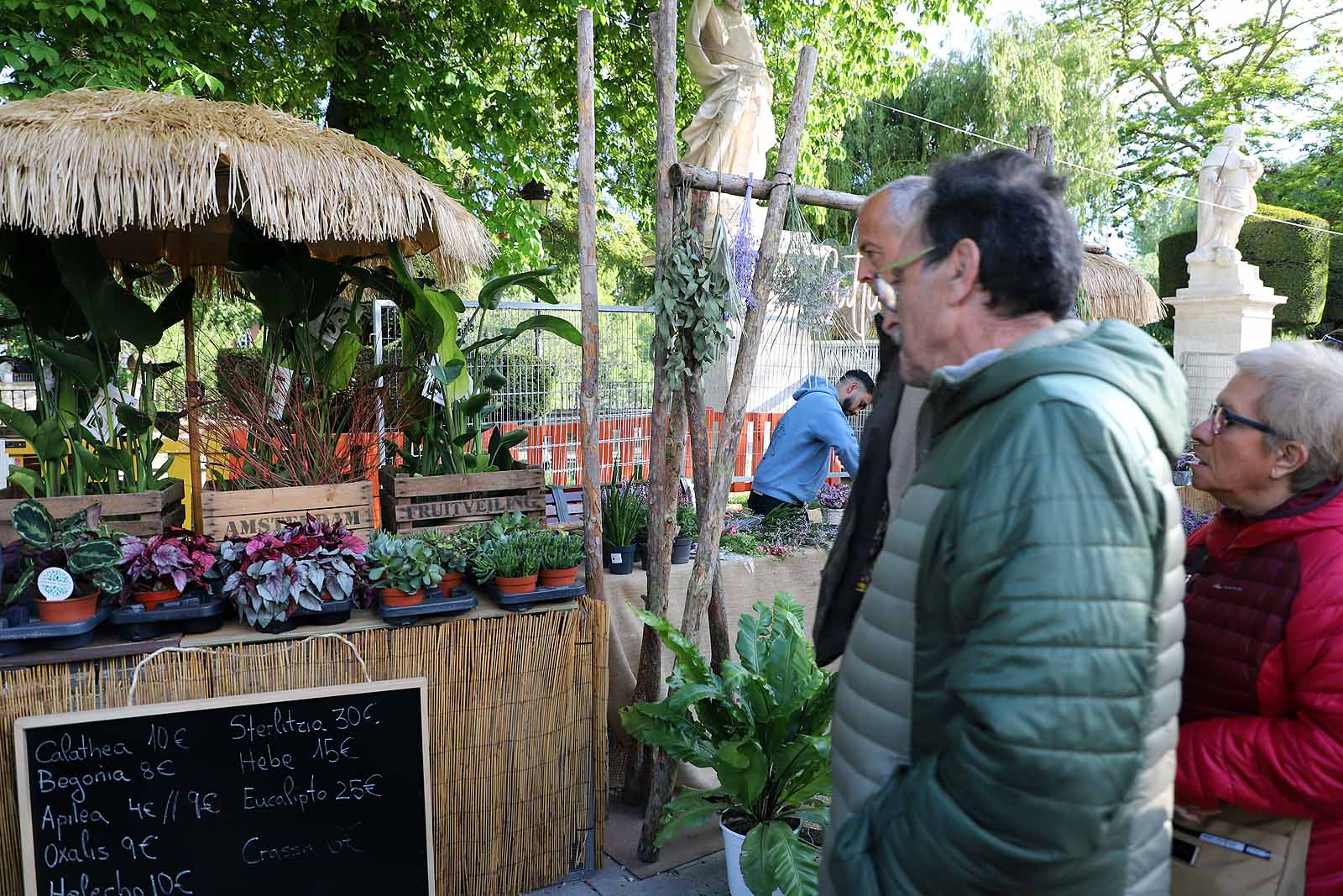 Burgos se llena de flores y gentío