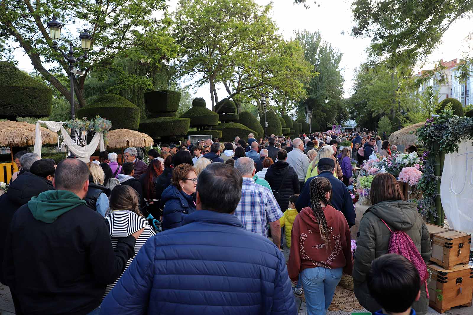 Burgos se llena de flores y gentío