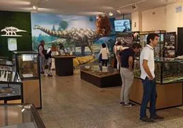 Museo de los Dinosaurios de Salas de los Infantes.