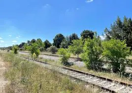 La ruta del Tren Directo entre Manzanares Soto del Real y Aranda de Duero lleva cerrada al tráfico desde 2010