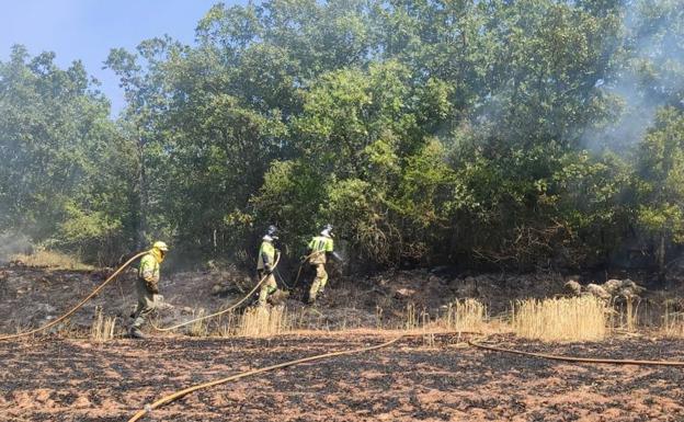 Foto de archivo de los bomberos en una actuación en un incendio forestal.