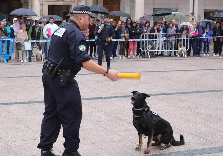 Varias unidades han ofrecido una exhibición en la Plaza Mayor.