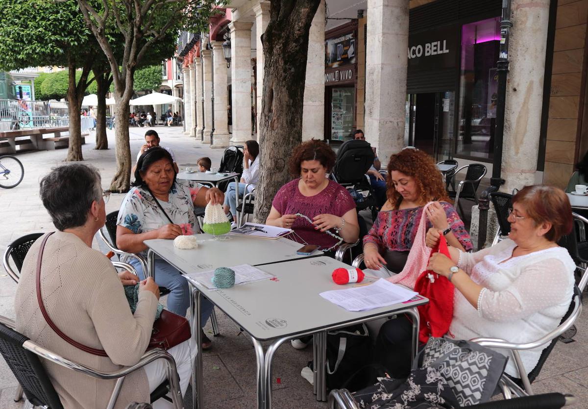 Un grupo de burgalesas han celebrado el Día de Tejer en Público.