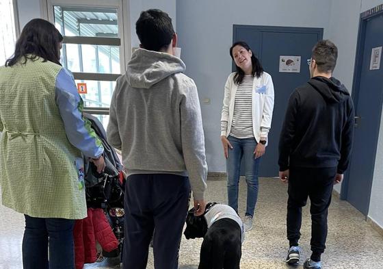 La terapia asistida con perros está destinada a favorecer las capacidades de los alumnos con necesidades especiales del Centro de Educación Especial Fuenteminaya