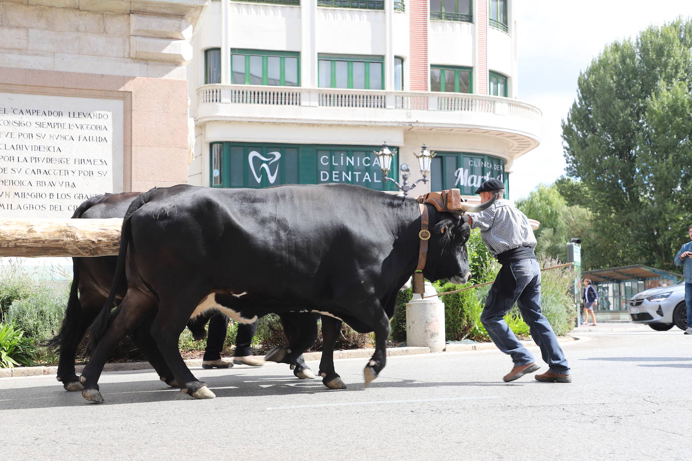 Ruta carreteril a su llegada a Burgos.