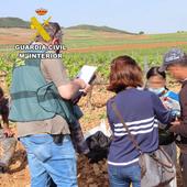 Detenida una empresaria en la Ribera del Duero por un delito contra los derechos de los trabajadores