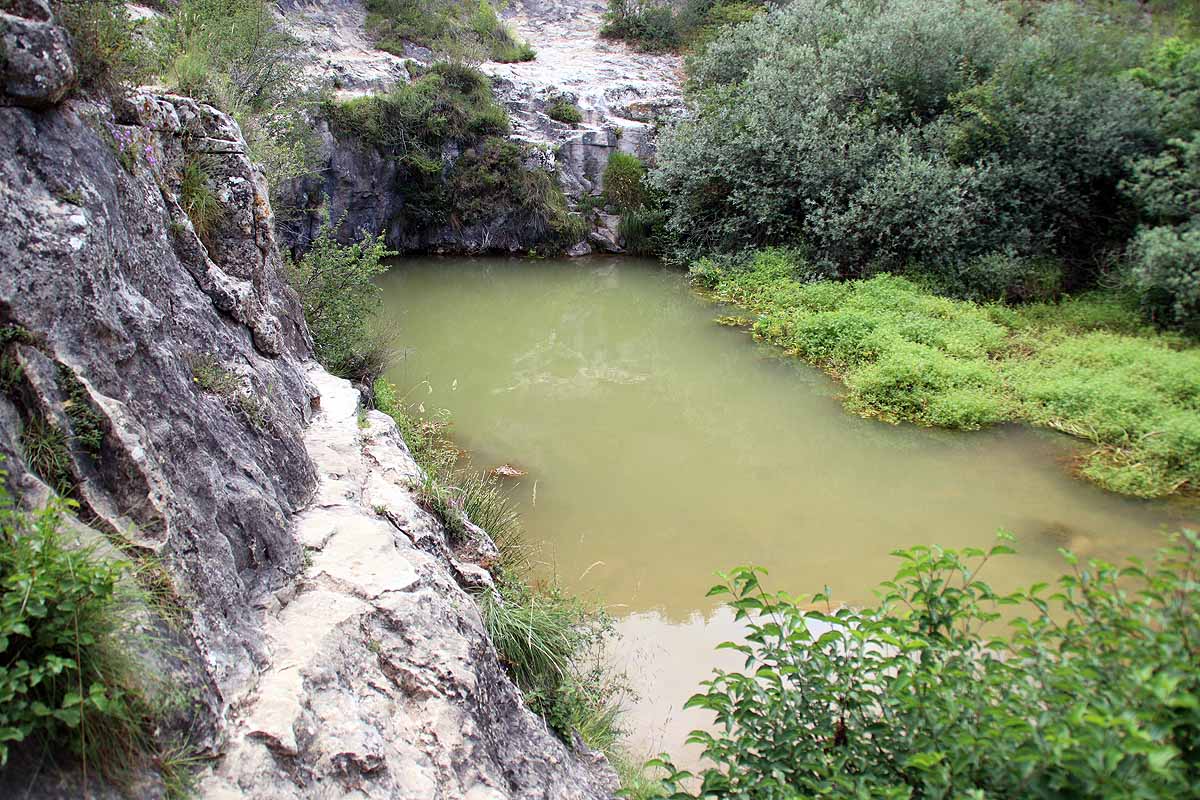 El azul intenso que da nombre a Pozo Azul ha pasado a ser verde por un vertido de origen y causas desconocidos.