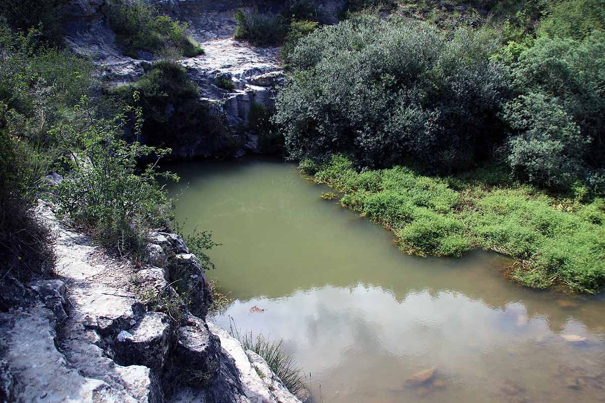 El azul intenso que da nombre a Pozo Azul ha pasado a ser verde por un vertido de origen y causas desconocidos.