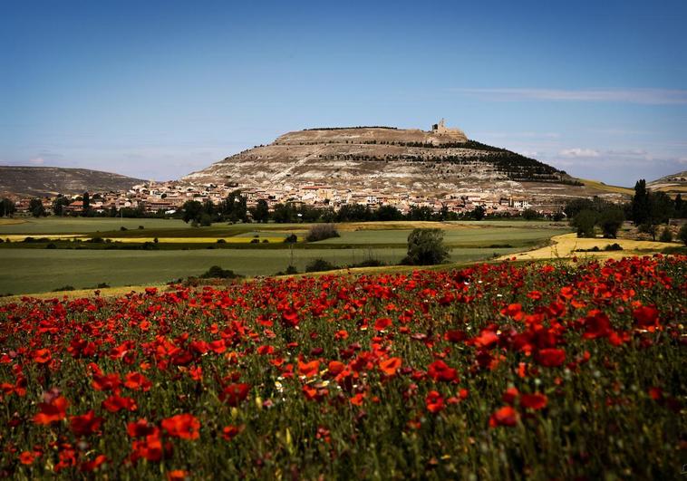 Vista de Castrojeriz bajo el Castillo, en la provincia de Burgos.