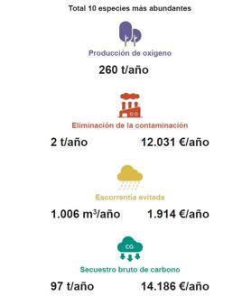 Imagen secundaria 2 - Datos sobre la arbolada de burgos situación y beneficios