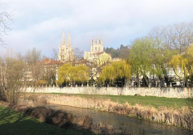 Ribera del Río Arlanzón