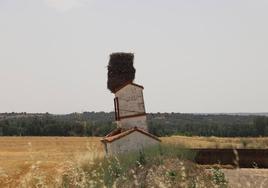 La curiosa imagen de los nidos de cigüeña sobre la torre en Santillán del Agua.