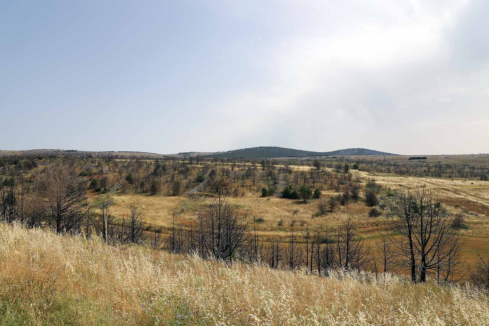 Así está la comarca del Arlanza un año después