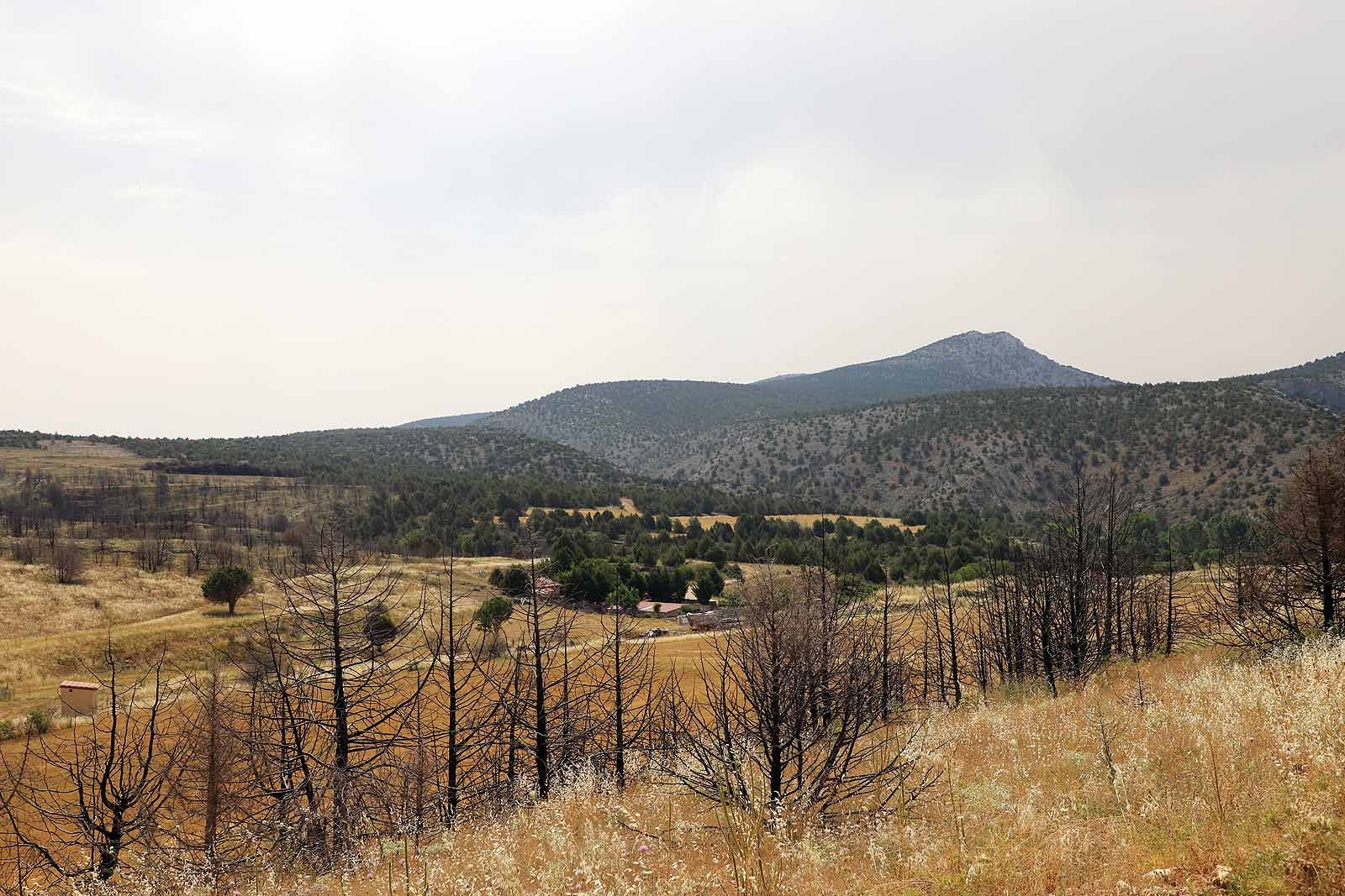 Así está la comarca del Arlanza un año después