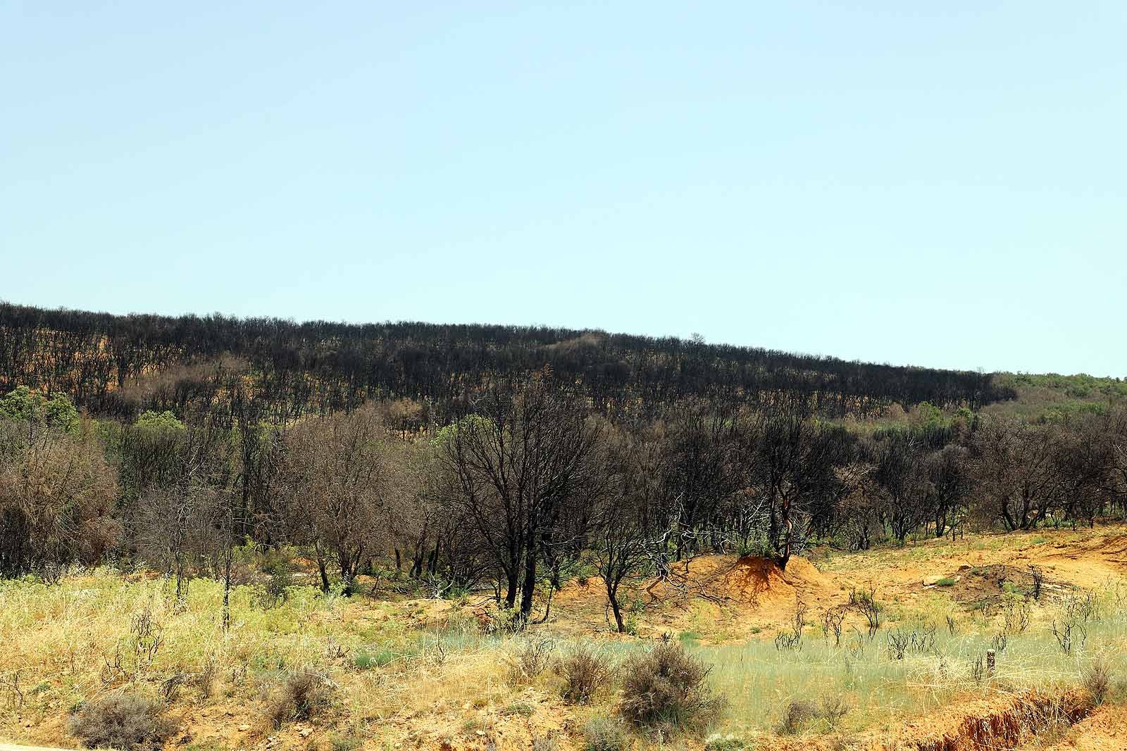 Así está la comarca del Arlanza un año después