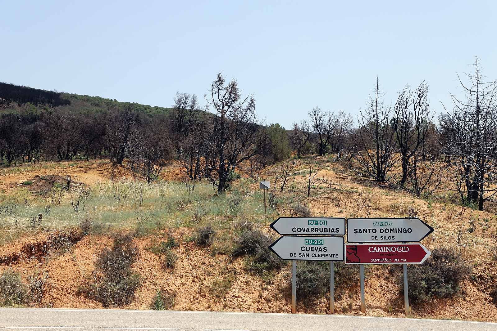 Así está la comarca del Arlanza un año después