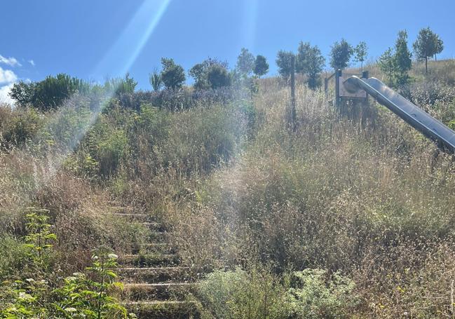 La maleza se adueña del parque San Isidro.