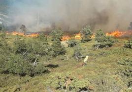 Imagen de un incendio forestal en la provincia de Burgos.