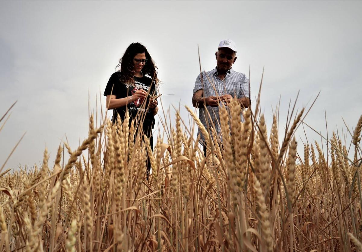 Burgos es la tercera provincia de la región que más empleo crea en agricultura.