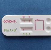 Pirola and eris, these are the subvariants causing an increase in COVID-19 cases