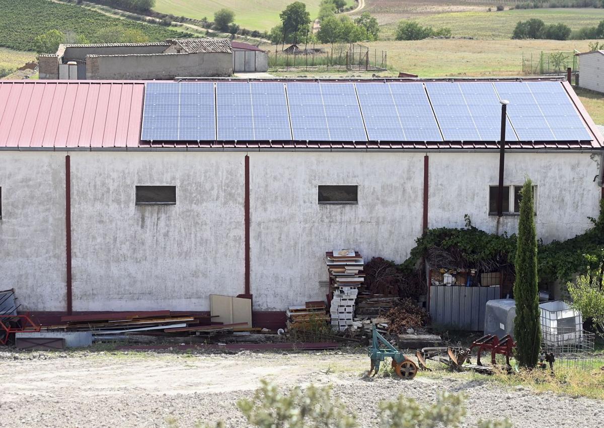 Imagen secundaria 1 - Guzmán quiere ser renovable