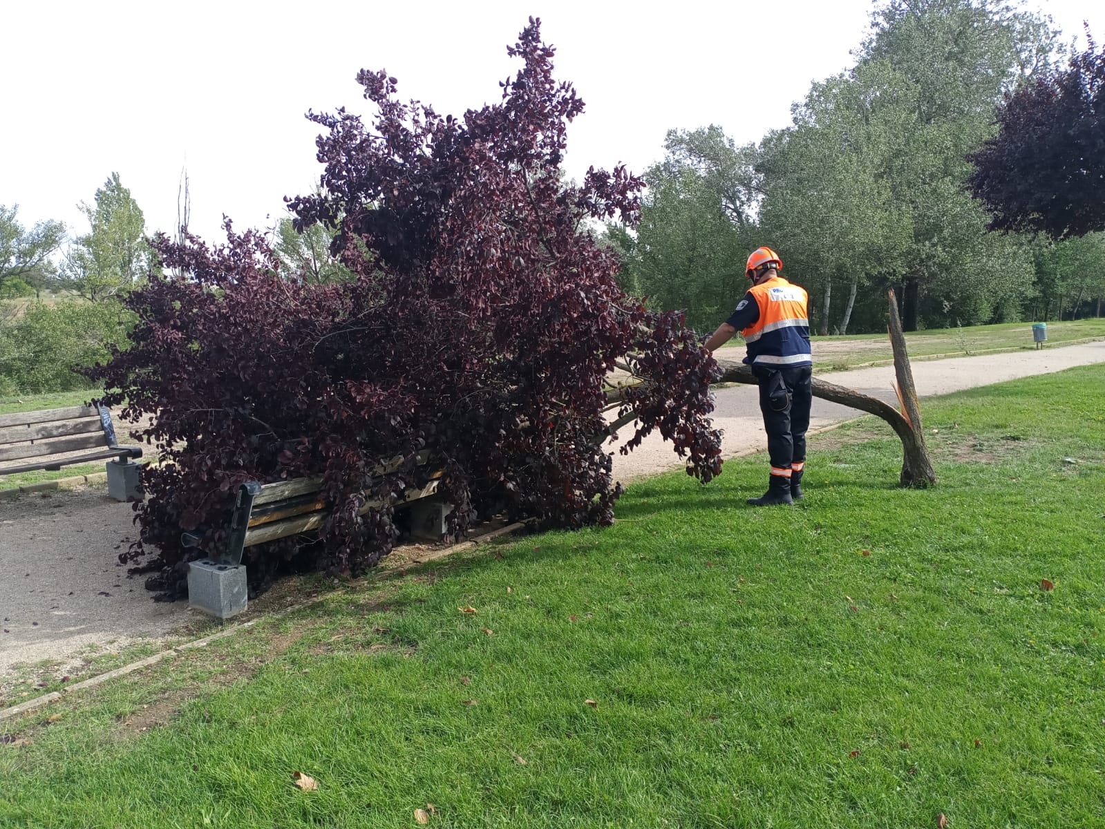 Una tromba de diez minutos causa desperfectos en Aranda de Duero