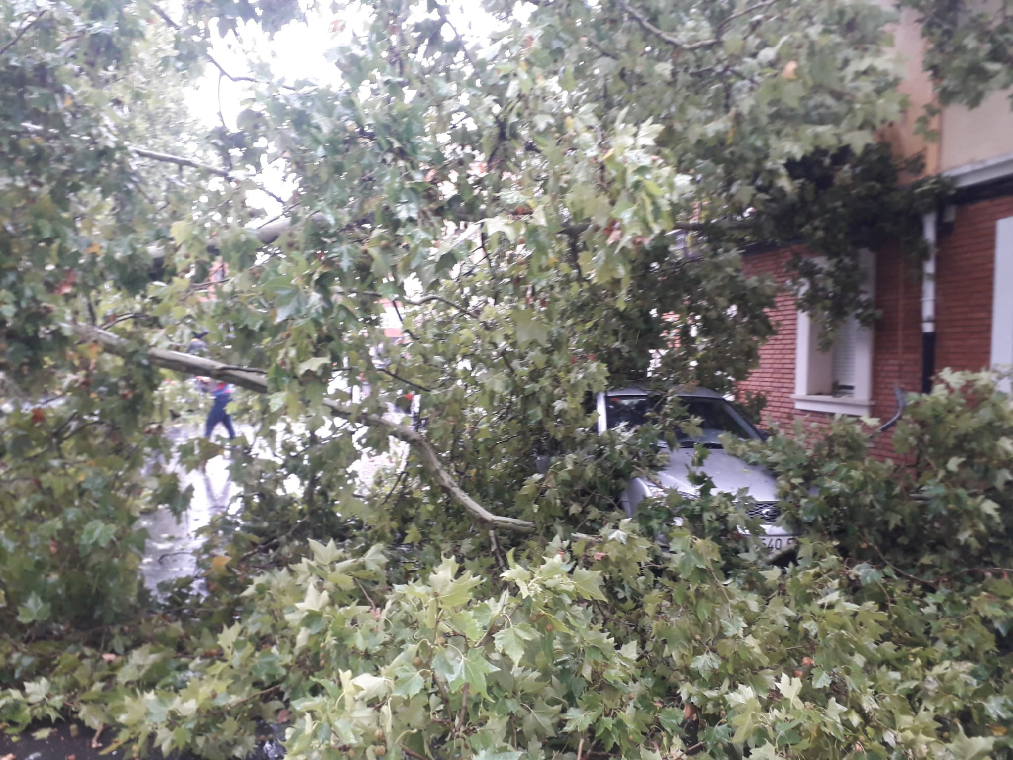 Una tromba de diez minutos causa desperfectos en Aranda de Duero