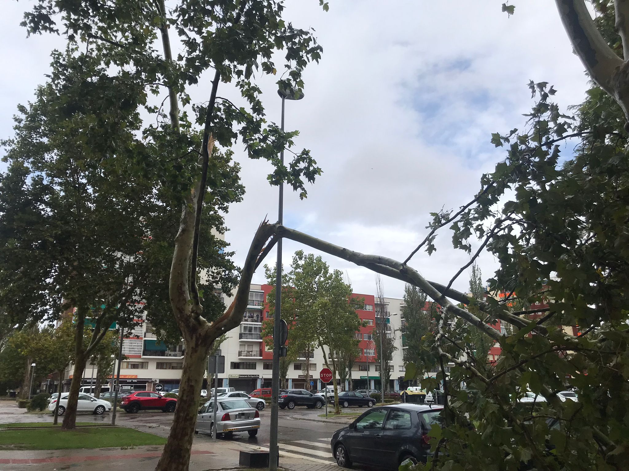 Una tromba de diez minutos causa desperfectos en Aranda de Duero