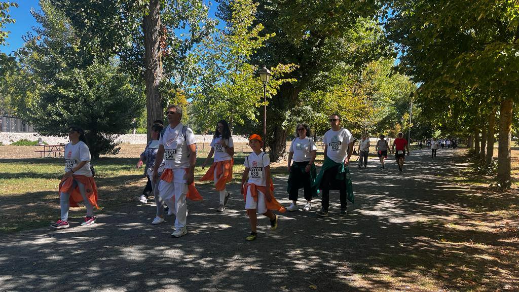 Un millar de burgaleses participan en la Marcha de Peñas solidaria