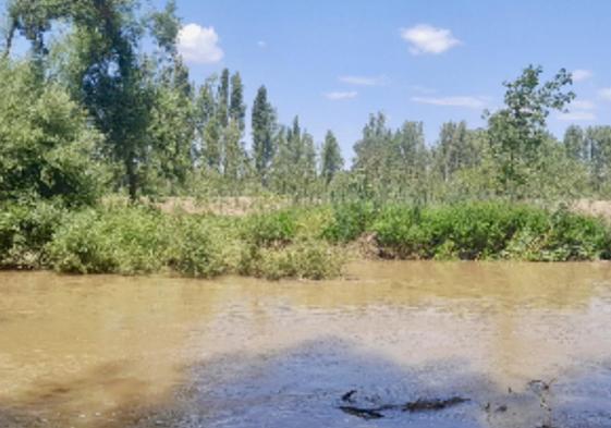 La CHD ha realizado actuaciones en el Pisuerga en pueblos cercanos a Melgar.