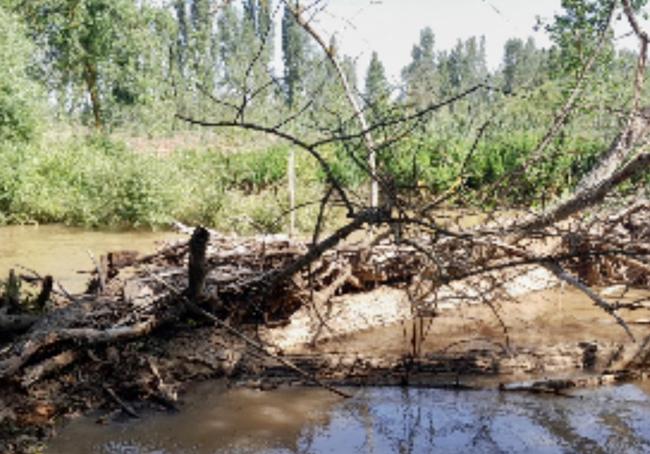 Melgar pide actuaciones en el cauce del Pisuerga a su paso por Melgar.