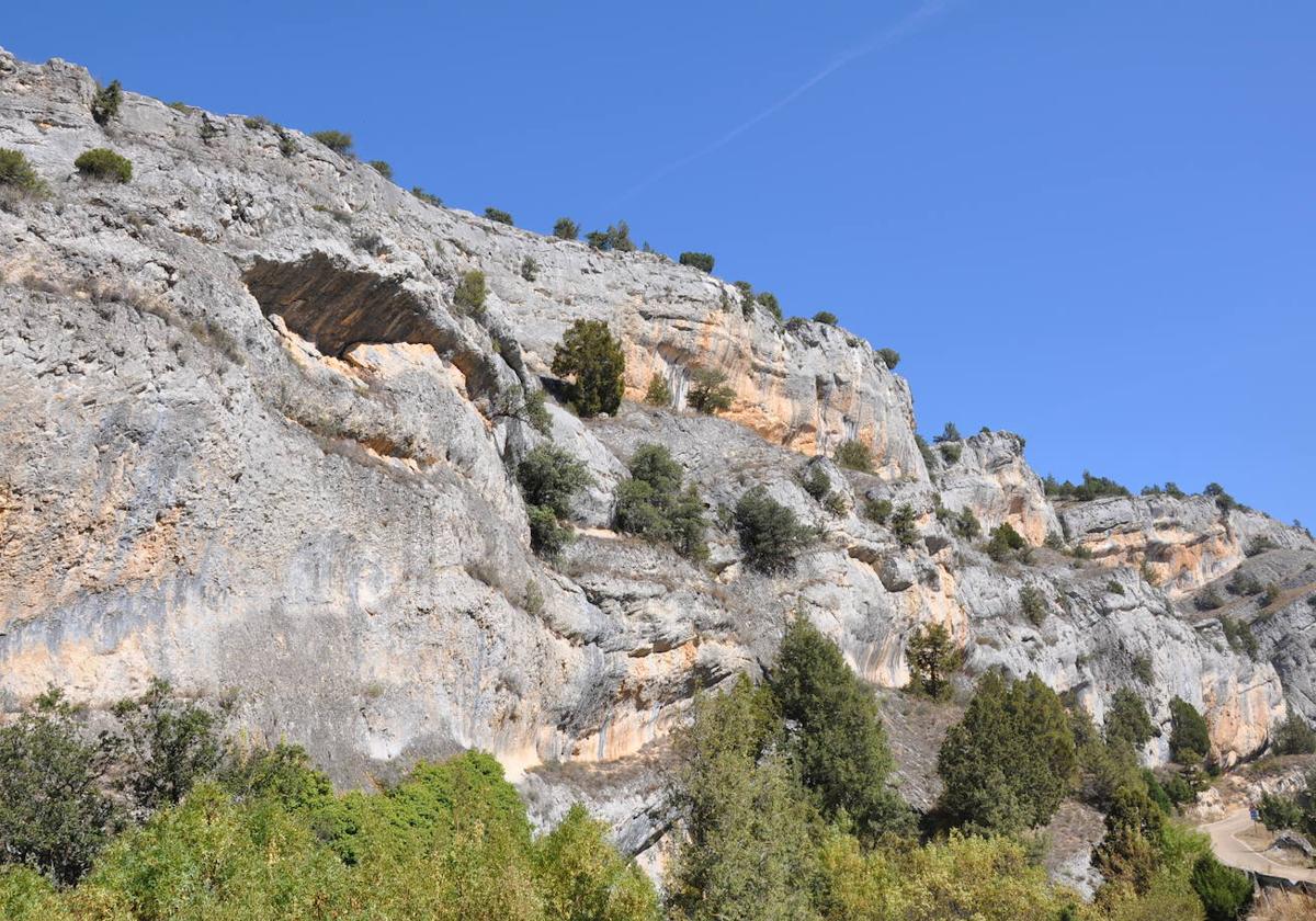 Un punto del Parque Natural Sabinares del Arlanza-La Yecla.