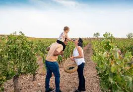 Burgos es una provincia donde gozar de la cultura del vino y no sólo del vino.