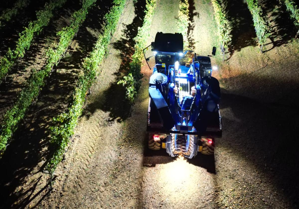 Ribera del Duero cierra la campaña de vendimia con 117 millones de kilos de uva