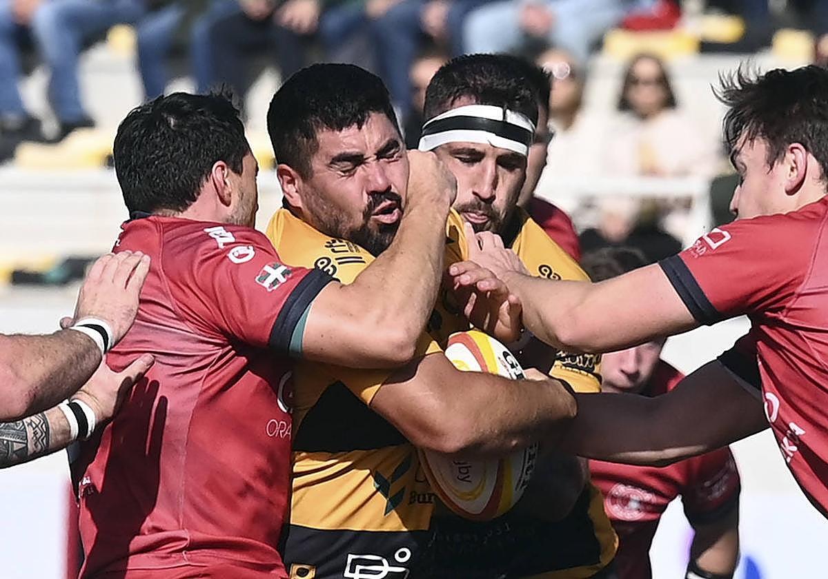 El Recoletas Burgos Caja Rural impone su ley en San Amaro