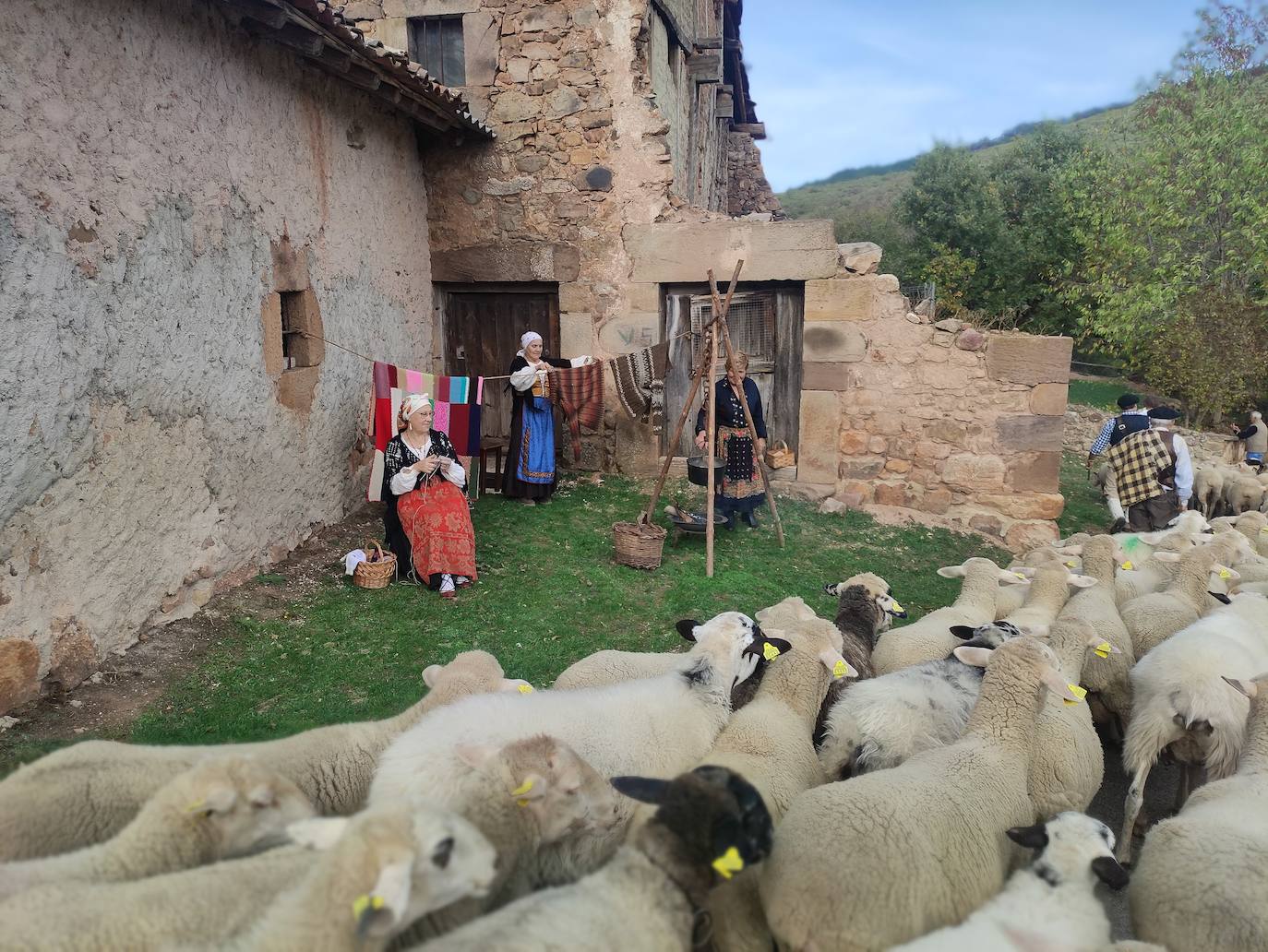 La trashumancia se apodera de Tolbaños de Arriba