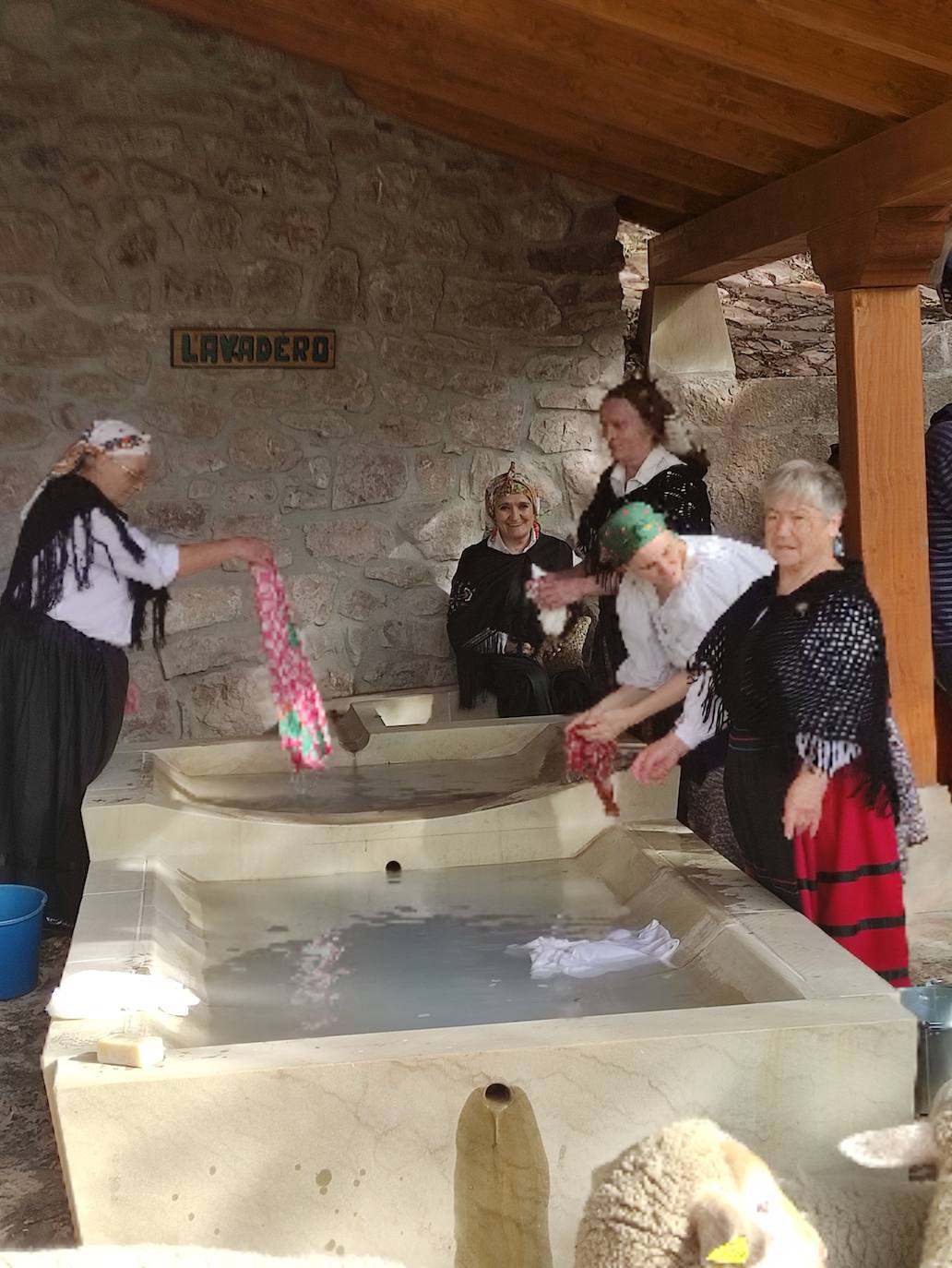 La trashumancia se apodera de Tolbaños de Arriba