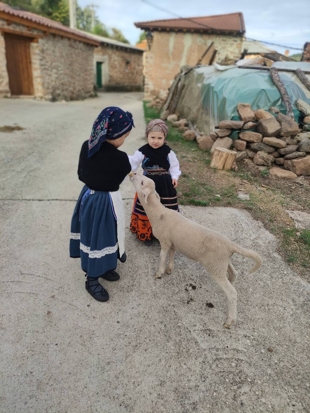 La trashumancia se apodera de Tolbaños de Arriba