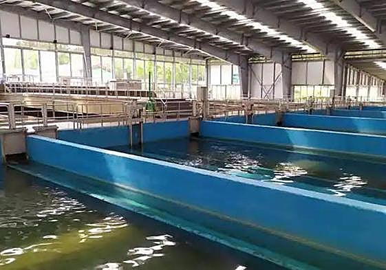 Imagen de archivo de Aguas de Burgos.