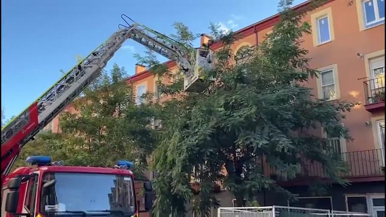 Intervención de los bomberos de Burgos en los parques de la ciudad.