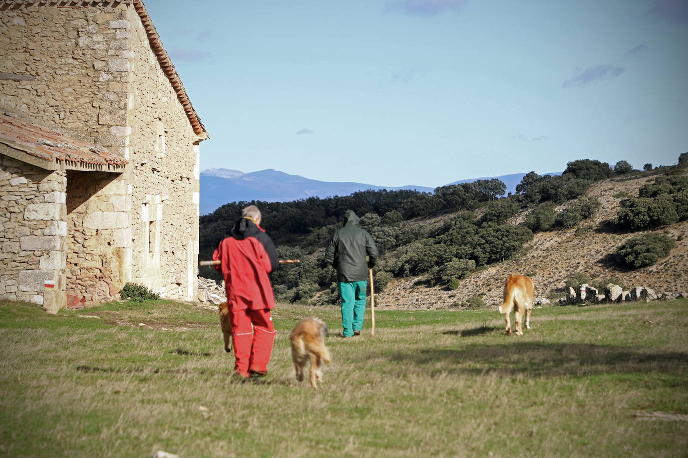 Conocimientos tradicionales e innovación con los últimos pastores de Valdivielso