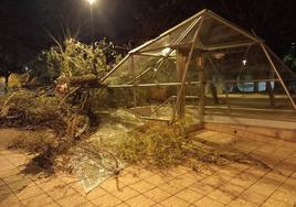 Entrada acristalada con desperfectos causados por el viento