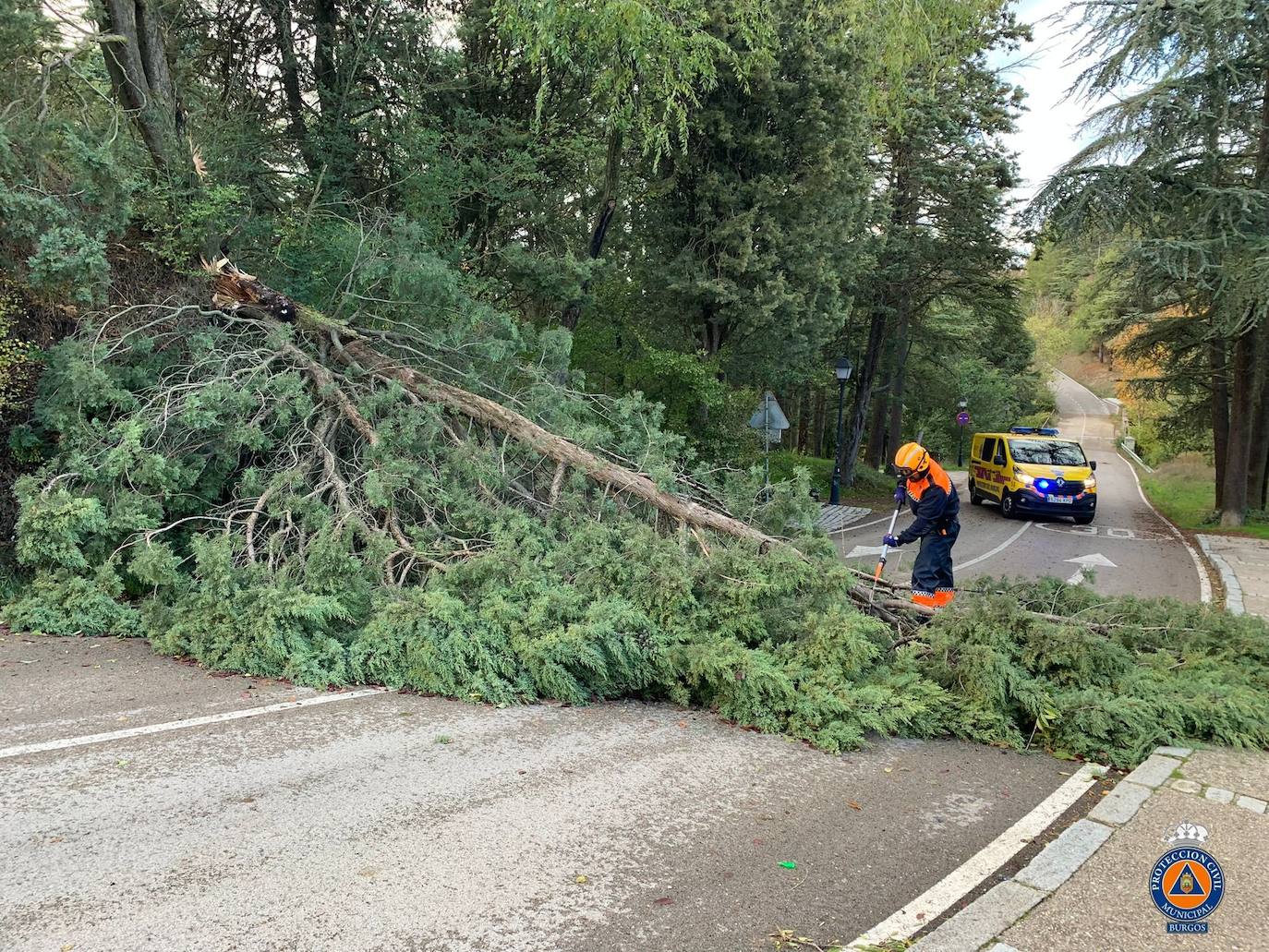 El viento causa decenas de desperfectos en Burgos